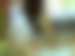 dogs fuck litlle girls|k9 zoophilia Blonde gets fucked by small dog on the living room floor -  LuxureTV