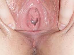 Nelyas freshly shaved pussy gets covered in cum after a deep fuck jpg x Freshly fucked pussy