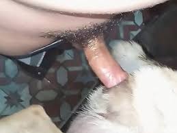 Guys fucking dogs jpg x Guys fucking dogs