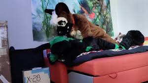 Straight furry yiff porn videos jpg x Straight fursuit