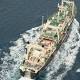 Japanese Whalers Return with 333 Whales 