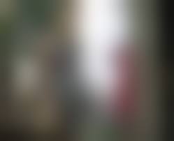 women voyeurs|The Female Voyeur - PinkLabel.TV