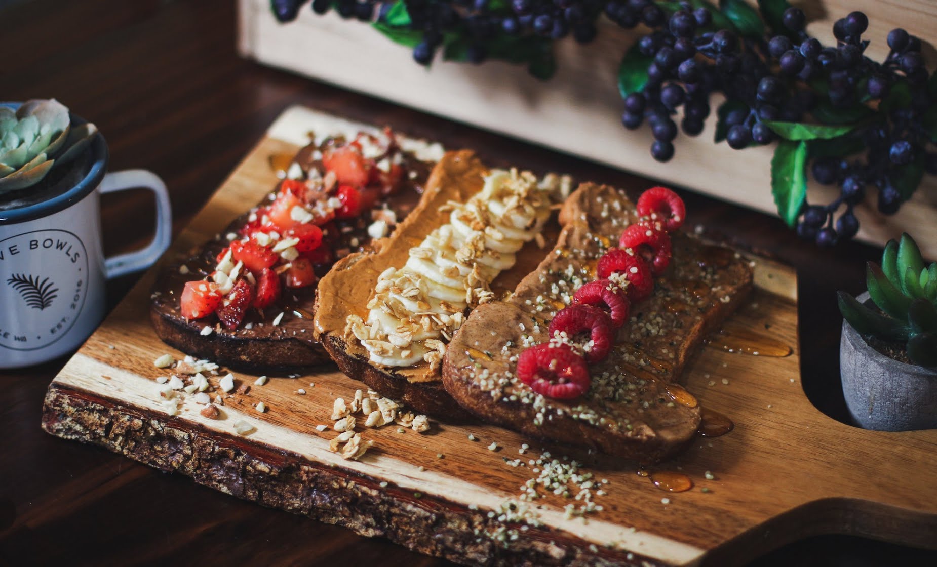 Verve Bowls - Ballard by null