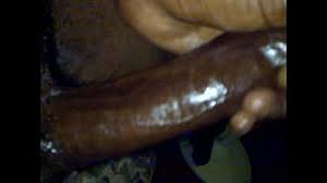 World record biggest dick ever jpg x Worlds biggest dick