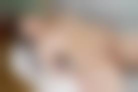 girlsdelta fusako 3500|Girlsdelta Rikitake Мастурбация Эротика – Telegraph