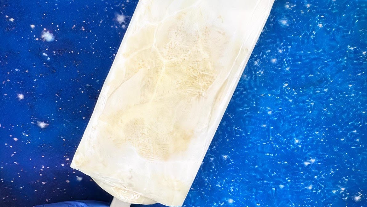 Paleta Planeta by null