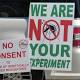 Florida Keys Approves Trial Of Genetically Modified Mosquitoes To Fight Zika 