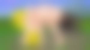 oniblonde|Oniblonde Sissy hentai - Casey's first porn movie