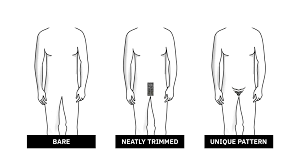 puberty pubic hair|Signs of Puberty: What Happens to Your Body?