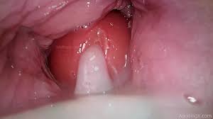The camera crew is interested in the depth of her anal cavity porn tube jpg x Anal camera