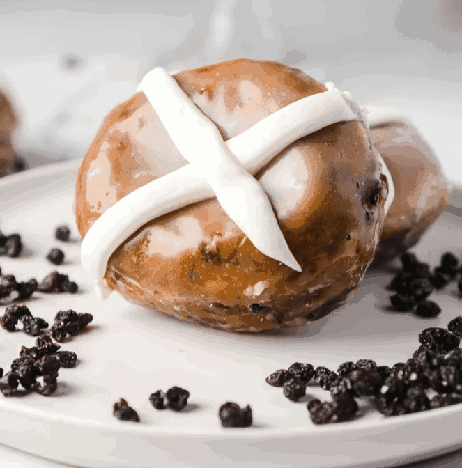 Cardigan Donuts - City Center by null