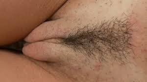 Furry pussy mound o page jpg x Pussy mound