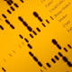 Book Review|Book Review Podcast: 'The Gene: An Intimate History' 