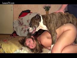 Mujeres teniendo sexo con perros jpg x Mujeres teniendo sexo con perros