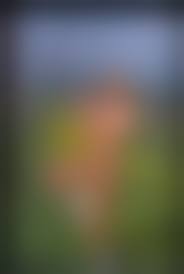 bourboulon laika nude|Laika Nude Photo 3424 | Hot Sex Picture