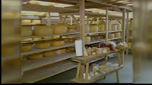 EU plans to take back their cheese names | Regional.