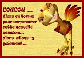 http://t0.gstatic.com/images?q=tbn:ANd9GcQGxs_UoqRjyOe-rhqjh2Zbfygw-R4ZbshckhUU3DUlcVilGUp7&t=1