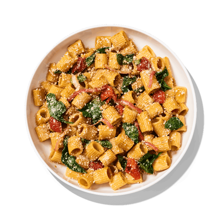 Noodles and Company by null