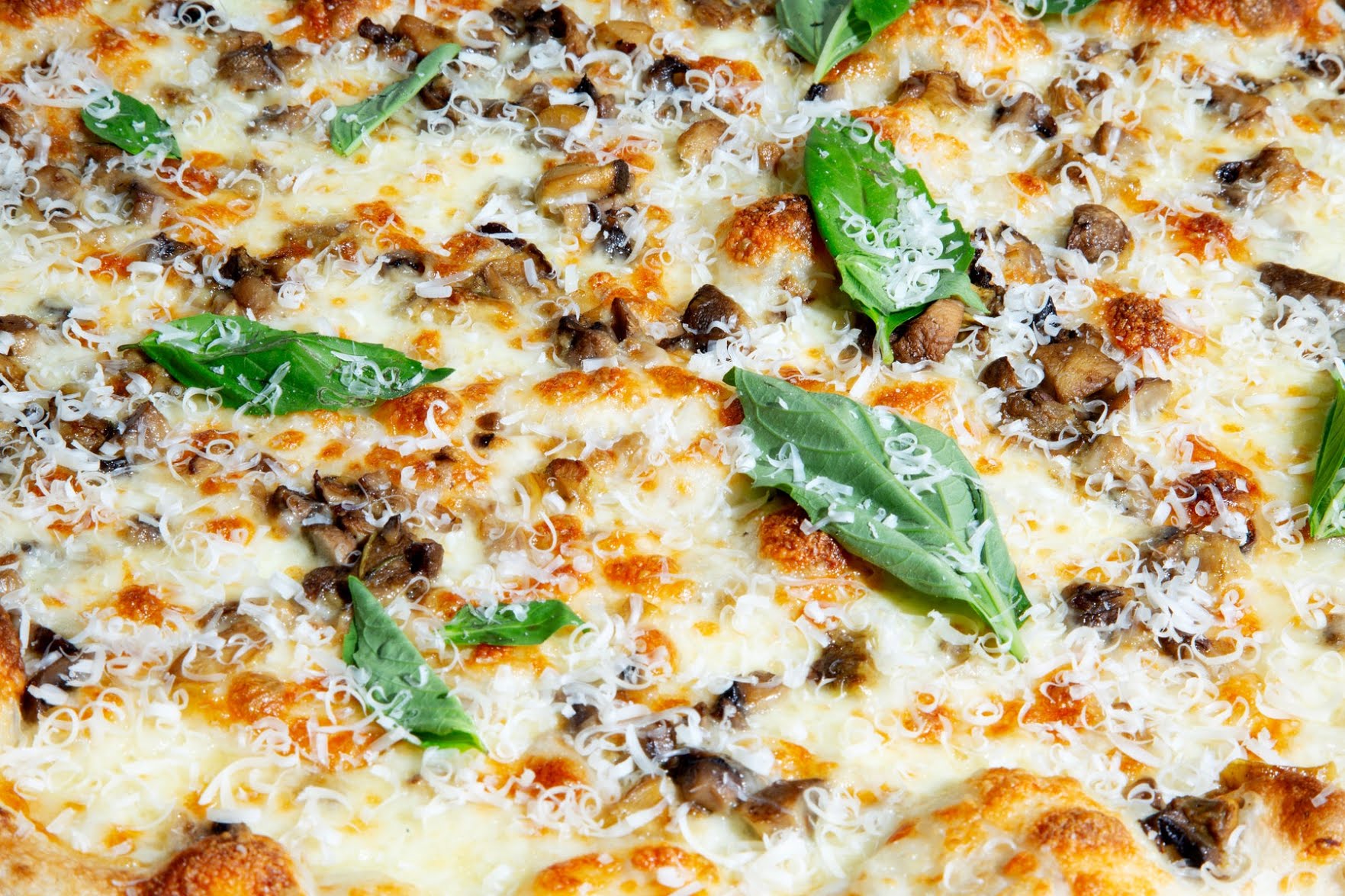 Slicehaus Pizzeria by null