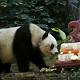 World's oldest panda in captivity Jia Jia dies aged 38 