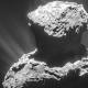 Comet Churyumov-Gerasimenko contains ingredients for life 