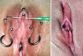 Never seen a piercing just above the vagina jpg x Vaginal piercing