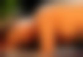 新藤恵美sex|新藤恵美 熟女ヘアヌードで見せた熟れた裸体がエロすぎる美人女優のお宝ヌード画像 | 懐エロ！昭和・平成の芸能人お宝ヌード