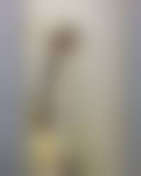 不倫　流出 ウィニー|無流】Winnyつこうて痴態を晒されてしまったNOR○KO - FC2 Video (Für Erwachsene)