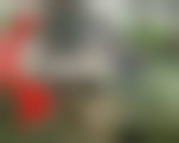 女兵士 死体　レイプの画像|