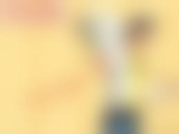 Purenudism 日本|5万1000円で落札の金魚も 東かがわ市で「日本オランダ獅子頭」の全国品評大会 | KSBニュース | KSB瀬戸内海放送