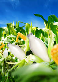 Mir hebe blowjob-rip 29|We've got the coast covered