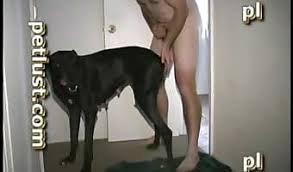 Man fucks dog female extreme porn video luxuretv jpg x Man fucks female dog