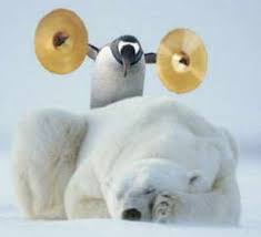 images?q=tbn:ANd9GcQKzLebKRhoE5FeqdPMZzIYKY3orwjQyHFZ_zln-OjCWl7hb2_hnQ