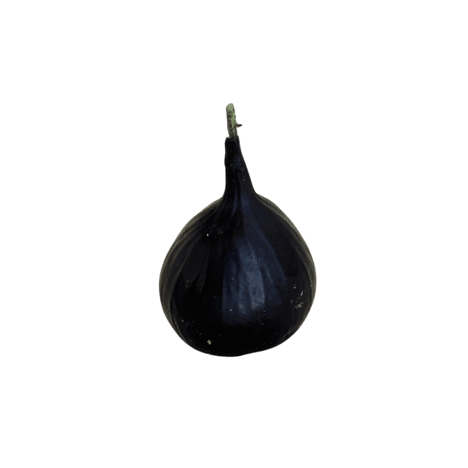 Wine and Eggs by null