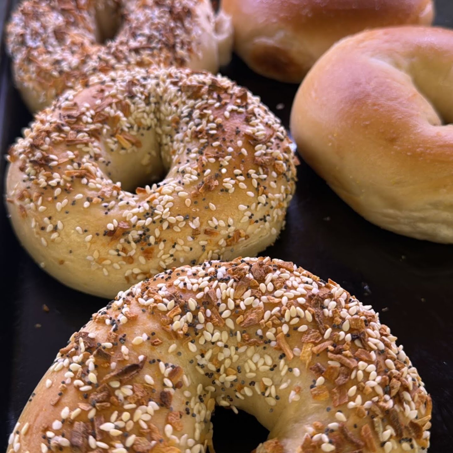 Poppy's Donuts by null