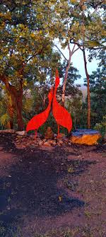 mature squatting nudists|Life as a Nudist: Embracing Freedom and Fun | TikTok