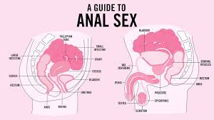 Male couple bed above header jpg x Unwanted anal sex