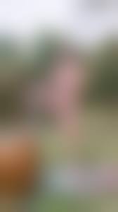 naked thai girl|Pin.Naked.Thai.Gir - pin-naked-thai-girl-boardポルノ写真 - EPORNER