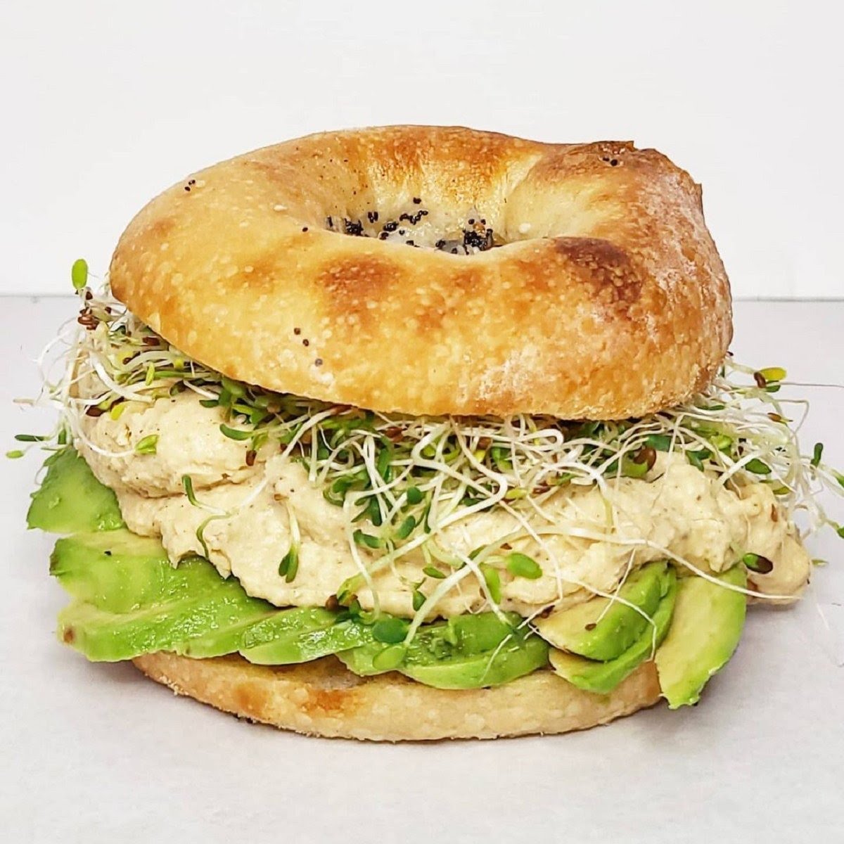 Bullfrog Bagels by null