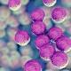 Superbugs will kill 10 million people a year by 2050 