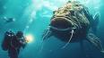 The Allure of the Unknown: Exploring the Depths of the Ocean ile ilgili video