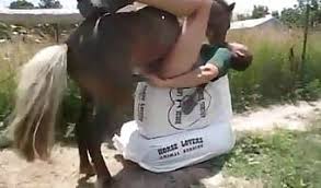 Slut takes off her dress and has sex with a horse jpg x Women sex with horse