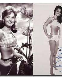 Dawn wells mary ann summers porn pictures photos sex images pictoa jpg x Dawn wells sexy