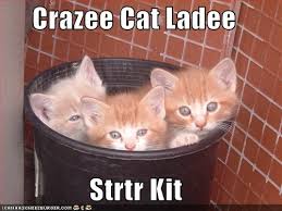 http://t0.gstatic.com/images?q=tbn:ANd9GcQPg-pshLMQRaHSCwQsbBKT54SC_qR-uyWsofuGxJcHh3o5qq0u