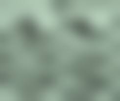 ジュニアアイドル 透け|駿河屋 -<中古>☆黒宮れい/直筆サイン入り・膝上・水着緑白ボーダー柄・衣装透け ・右手上げ・顔左向き・歯見せ/BD「しまコレ～しましまコレクション～黒宮れい」特典生チェキ（女性生写真）