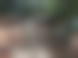 rajce.idnes. koupani 3|Koupání – veckovi – album na Rajčeti