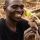 In Africa, Birds and Humans Form a Unique Honey Hunting Party 