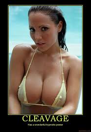images?q=tbn:ANd9GcQRYCa3t6_Ecun9_LJQ6oZu2eajrLPO3hUFK5DJkjBIT2zdzW-UMA