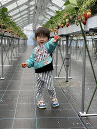 girl chan nn little|Amazon.co.jp: NN.ORANIE ハーネス 子供 ハーネスベルト リード 子供用ハーネス 迷子防止ひも 迷子紐 迷子防止紐  迷子対策ロープ 安全 セーフティー 天使 羽根 赤ちゃん ベビー 幼児 転倒防止 散歩 お出かけ 外出用(ピンクエンジェル) : ベビー＆マタニティ