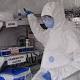 New member of the Ebola virus may cause disease in humans 